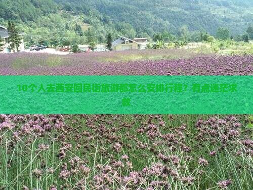 开封去西安回民街旅行社