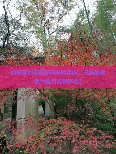 玉溪到西安回民街二日游