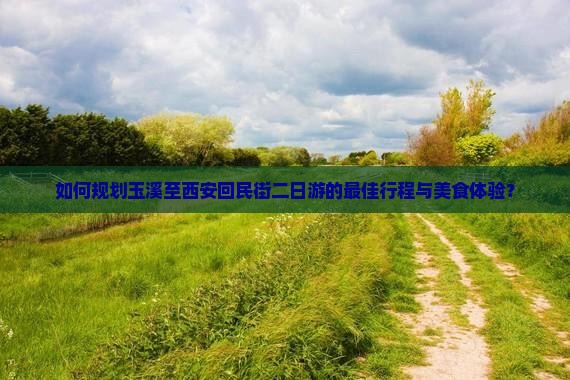 玉溪到西安回民街二日游