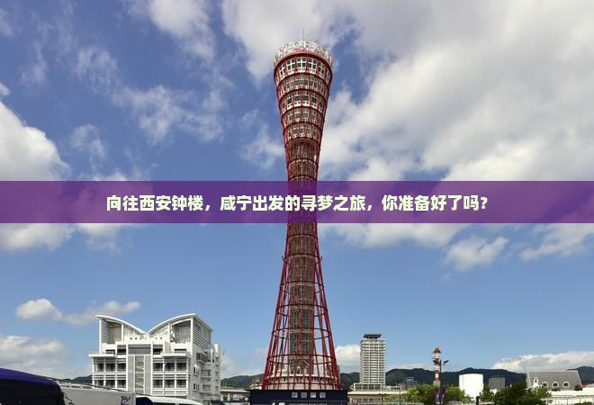 咸宁去西安钟楼旅游
