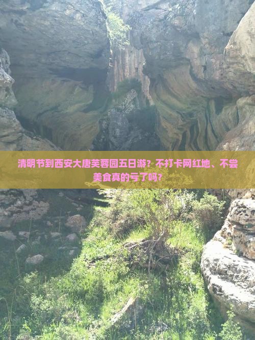 清明节到西安大唐芙蓉园五日游