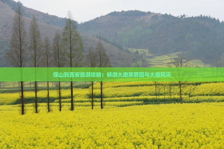 保山去西安大唐芙蓉园旅游