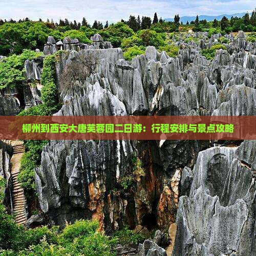 柳州到西安大唐芙蓉园二日游