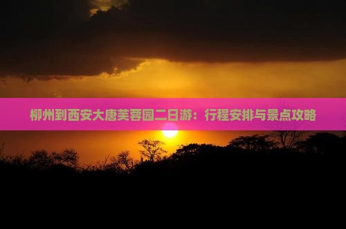 柳州到西安大唐芙蓉园二日游