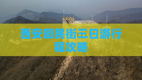 新余到西安回民街三日游