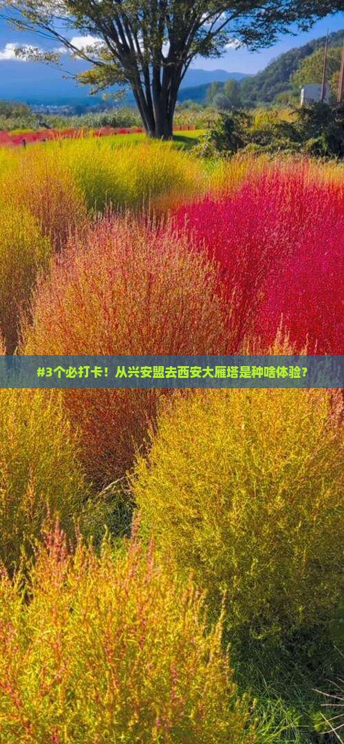 兴安盟到西安大雁塔攻略
