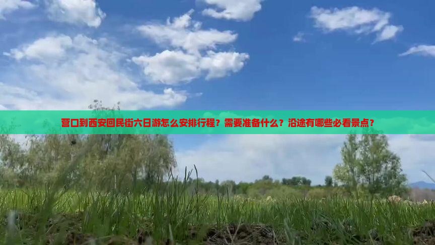 营口到西安回民街六日游