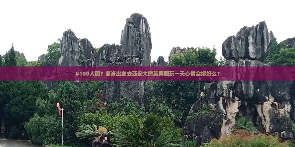 商洛去西安大唐芙蓉园大型旅游团