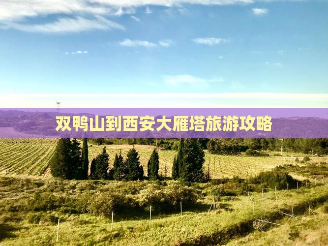 双鸭山到西安大雁塔哪里玩
