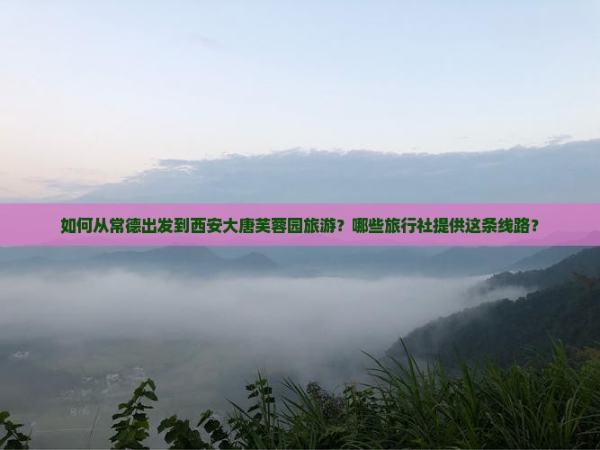 常德到西安大唐芙蓉园旅行社