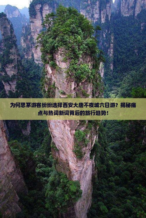 思茅到西安大唐不夜城六日游