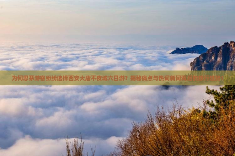 思茅到西安大唐不夜城六日游
