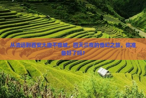 清远去西安大唐不夜城四日游
