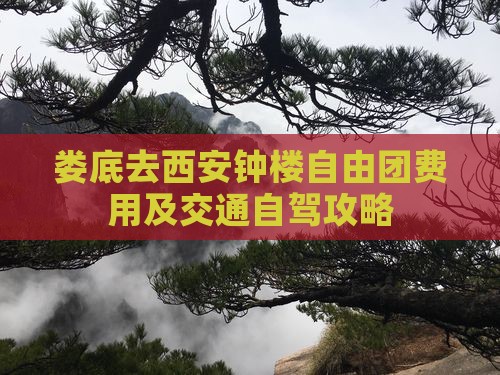 娄底去西安钟楼自由团