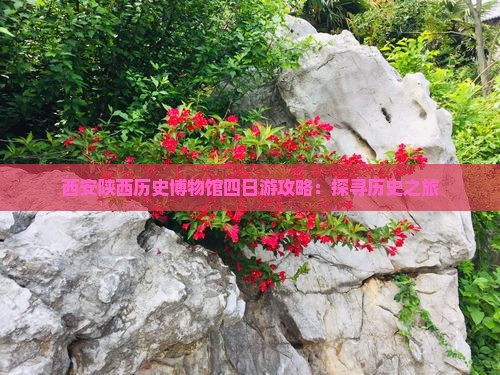 山南到西安陕西历史博物馆四日游