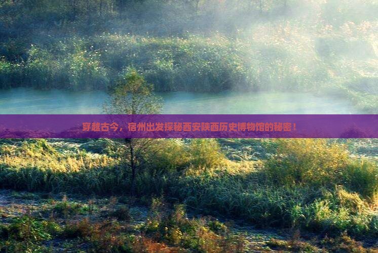 宿州去西安陕西历史博物馆必去地