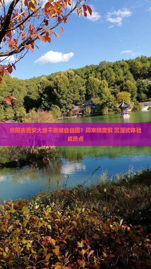 资阳去西安大唐不夜城自由团