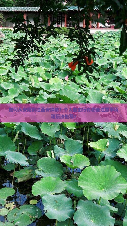 安阳去西安钟楼个人游