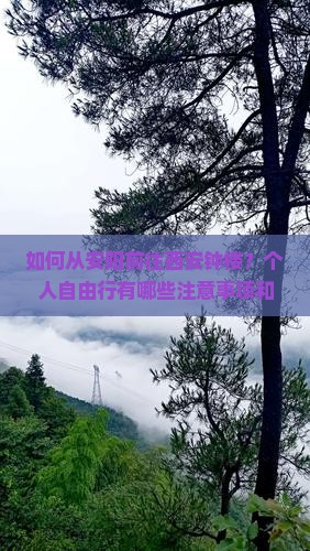 安阳去西安钟楼个人游