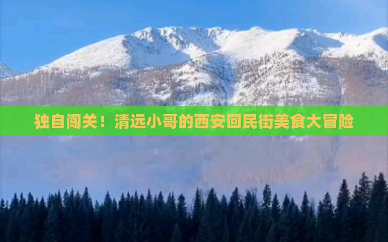 清远到西安回民街个人游