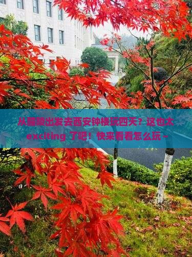 醴陵到西安钟楼四日游