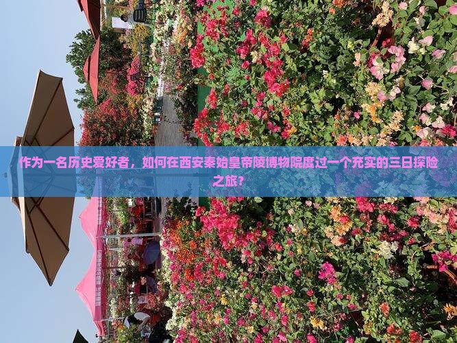 九月到西安秦始皇帝陵博物院三日游