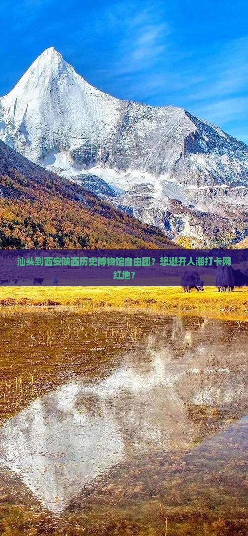 汕头到西安陕西历史博物馆自由团