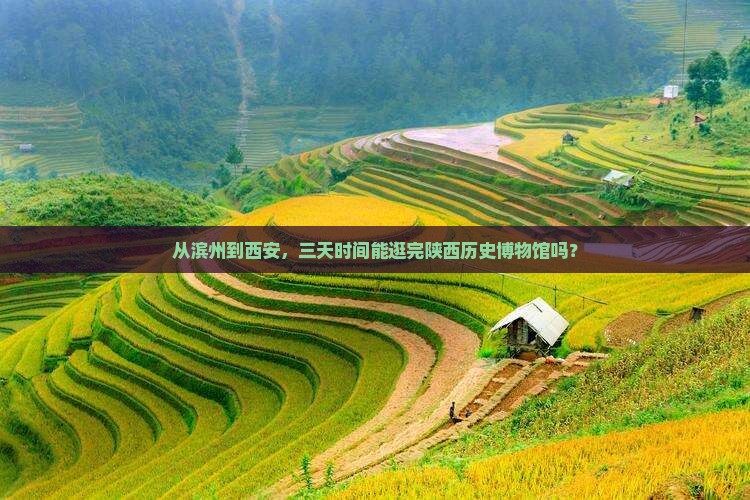 滨州到西安陕西历史博物馆三日游 滨州到西安陕西历史博物馆三日游