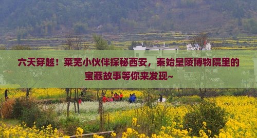 莱芜去西安秦始皇帝陵博物院六日游