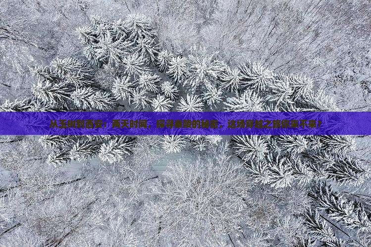 玉树到西安秦始皇帝陵博物院二日游
