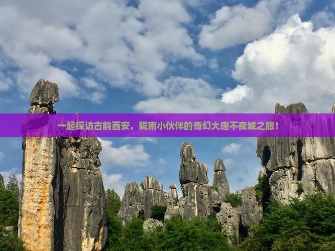 陇南到西安大唐不夜城团体旅游
