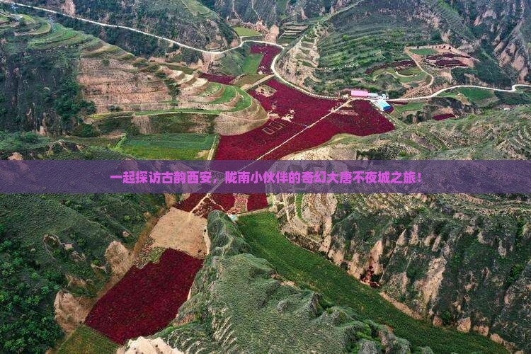 陇南到西安大唐不夜城团体旅游