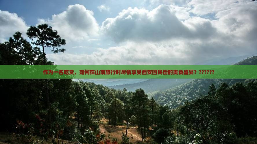 山南去西安回民街攻略