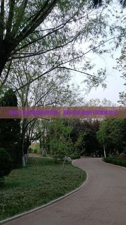 铜陵去西安大唐芙蓉园自由团