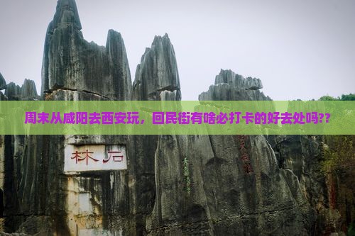 咸阳去西安回民街哪里玩