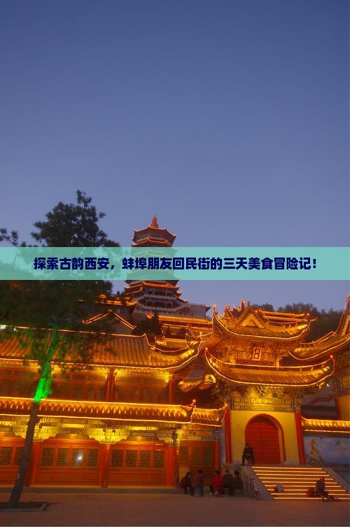 蚌埠去西安回民街三日游