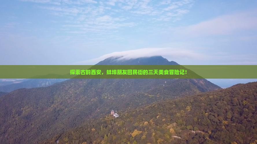 蚌埠去西安回民街三日游
