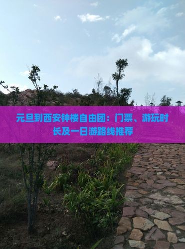 元旦到西安钟楼自由团