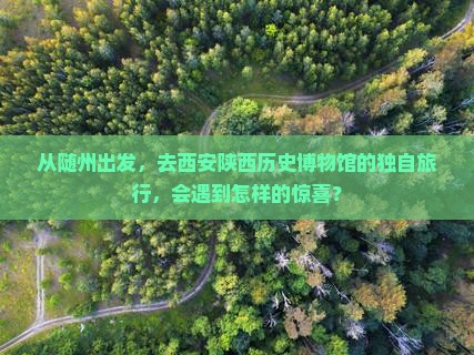 随州到西安陕西历史博物馆个人游