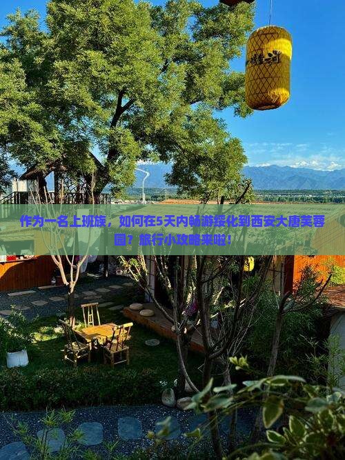 绥化到西安大唐芙蓉园五日游