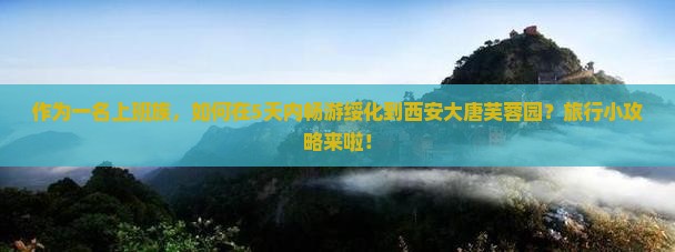 绥化到西安大唐芙蓉园五日游