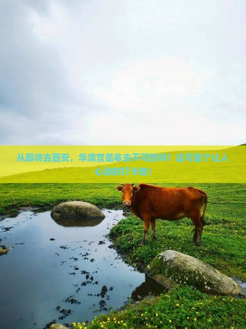 廊坊到西安华清宫必去地