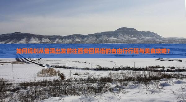 普洱去西安回民街自由行