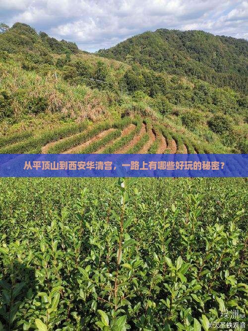 平顶山去西安华清宫哪里玩
