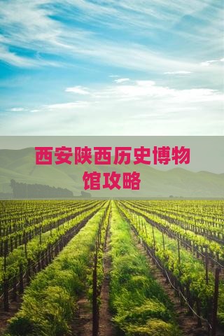 枣庄到西安陕西历史博物馆攻略