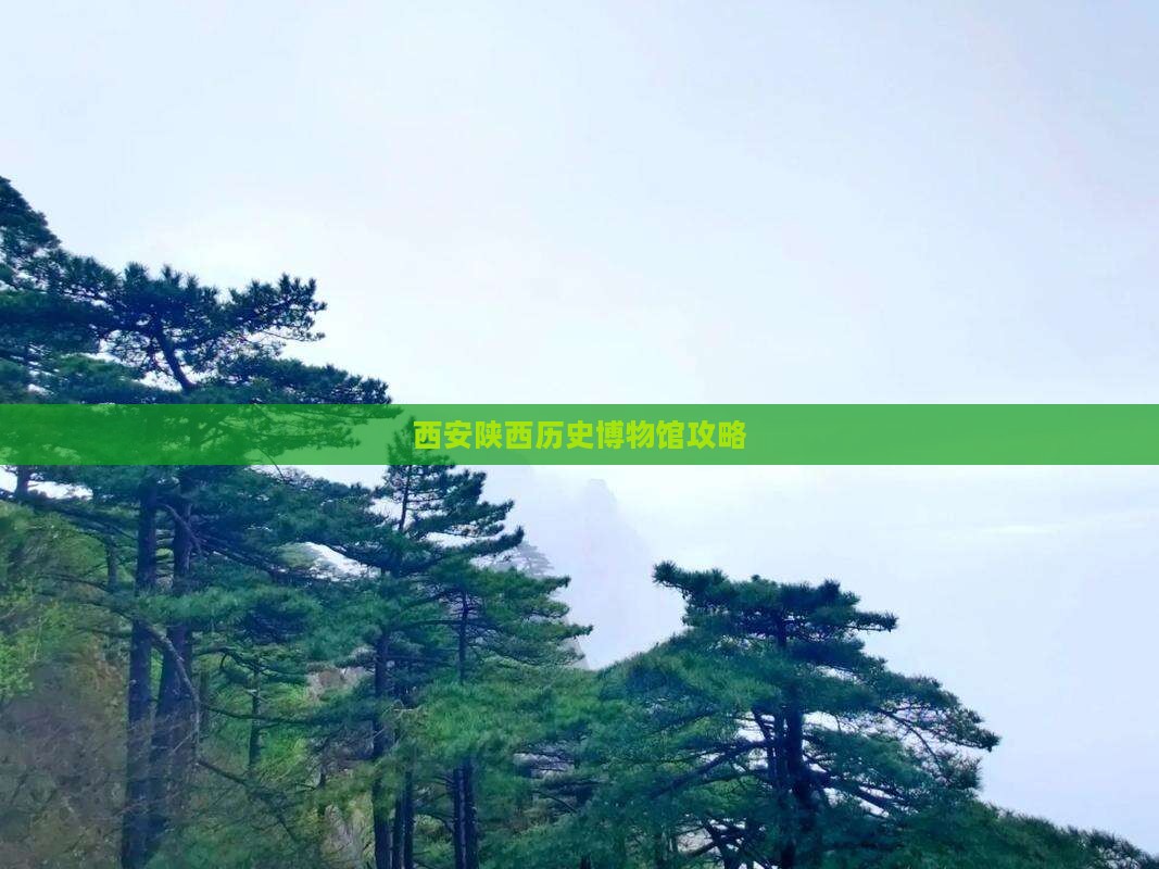 枣庄到西安陕西历史博物馆攻略