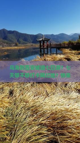 乌海到西安城墙七日游