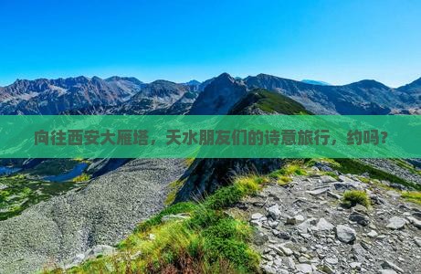 天水到西安大雁塔旅游