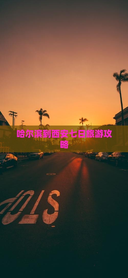 哈尔滨去西安城墙七日游