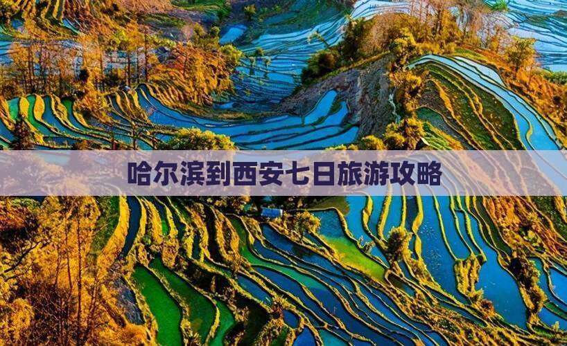 哈尔滨去西安城墙七日游